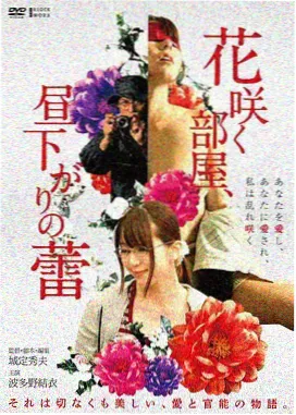 居家男人 海报